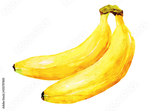 熟したバナナ 水彩手描きイラスト