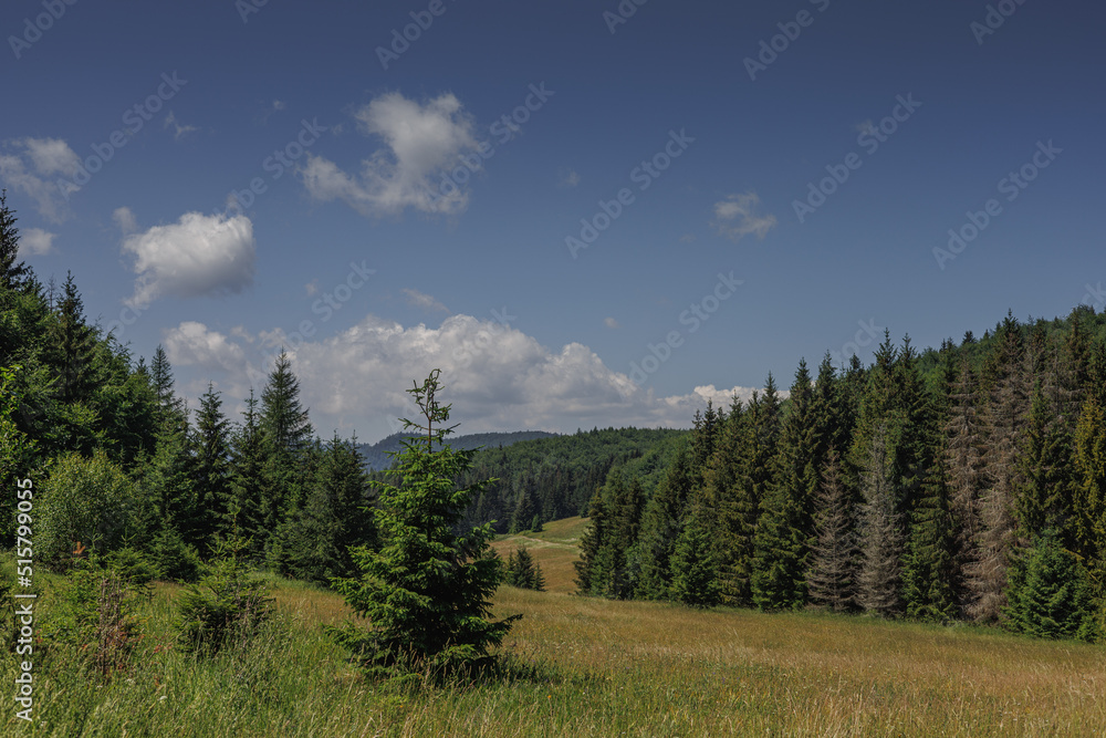 Valley, forest, sky in Slovak Paradise