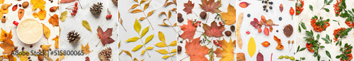 Collage with many autumn leaves on light background, top view
