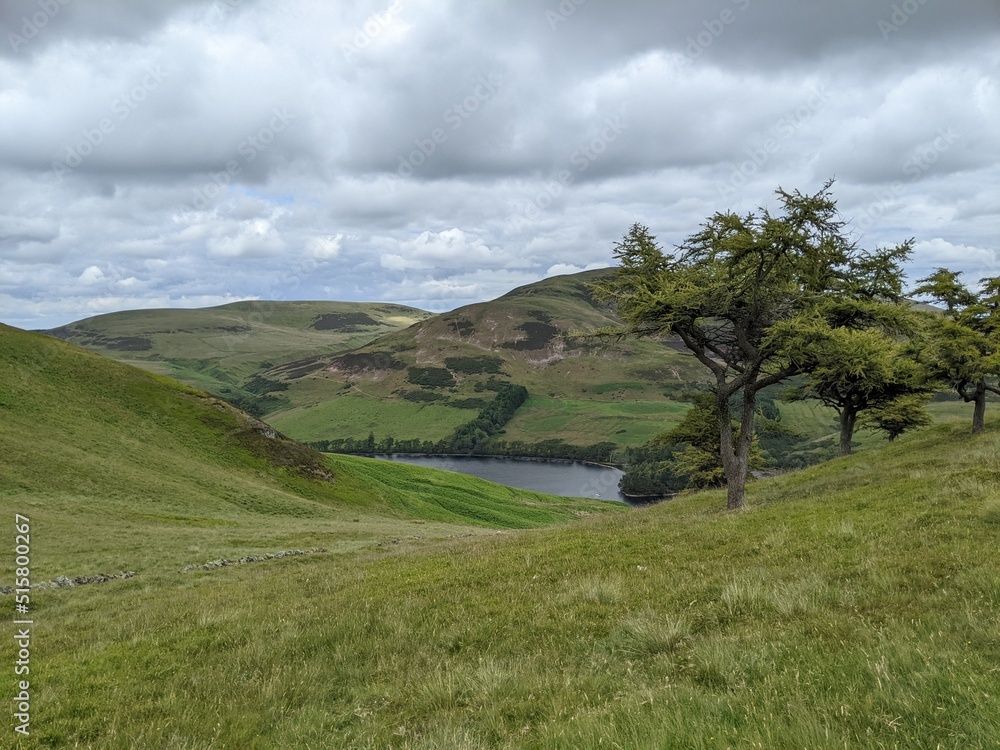 Fototapeta premium trail in the hills