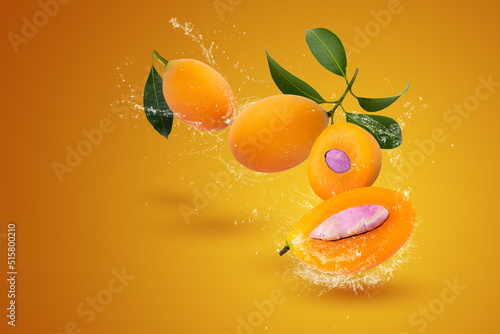 Water Splashing on Fresh sweet marian plum with leaf isolated on orange background