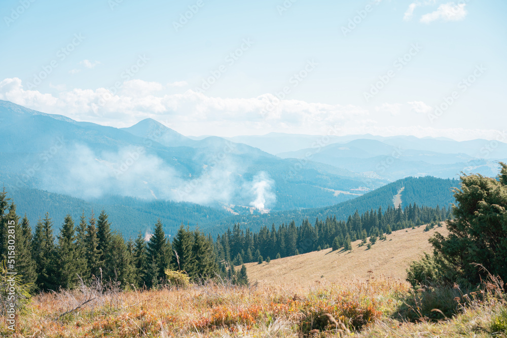 Small forest fire in the rocky mountains. Pine trees. Wildlife. Ecology. Rock. Summit. Woodland. Countryside. Peak. Evergreen. Flaming. Warm. Fireplace. Catastrophe. Accident. Sky