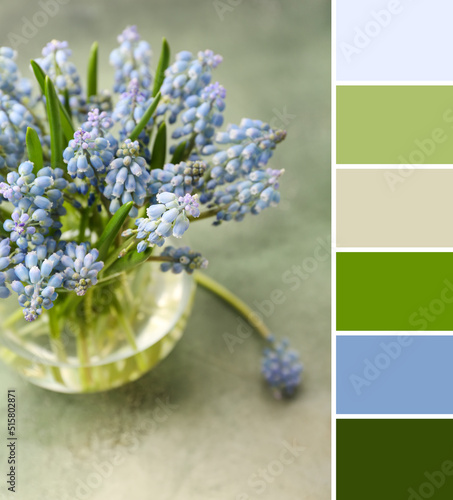 Vase with beautiful Muscari...