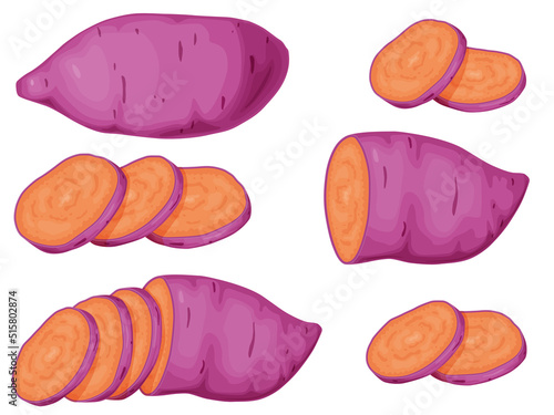 Purple sweet potato set. Okinawa yam sweet potato. Healthy food concept.