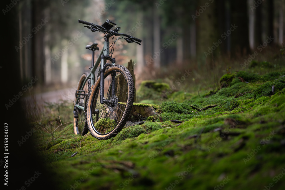 Fototapeta premium BIK MTB