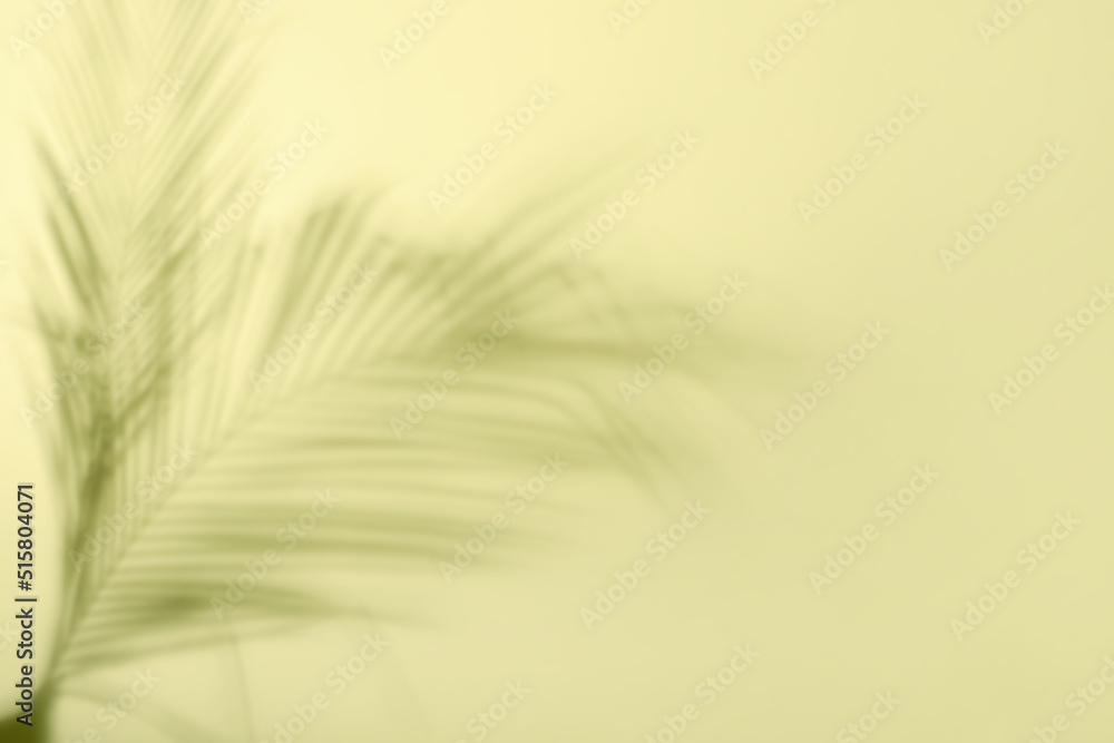 Shadow of tropical palm leaves on light color background Shadow of tropical palm leaves on light color background
