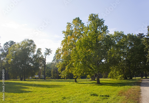 Arboretum park Alexandria in Belaya Tserkov, Ukraine 