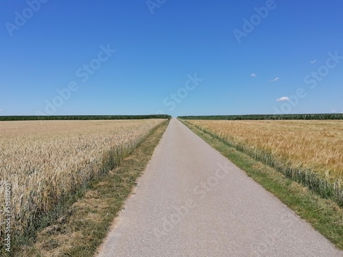 road in the field