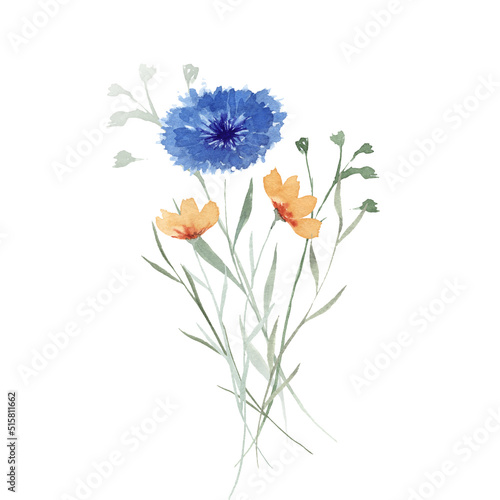 Wildflowers. Watercolor bouquet. Decoration for your design. © liliia_sinhina