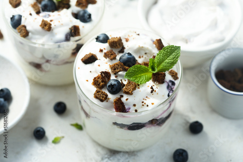 Homemade chocolate trifle with blueberry