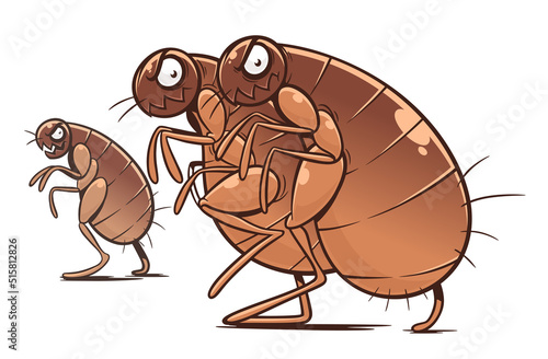 Cartoon fleas going to eating pets. Flea problem vector illustration. Cartoon flea series.