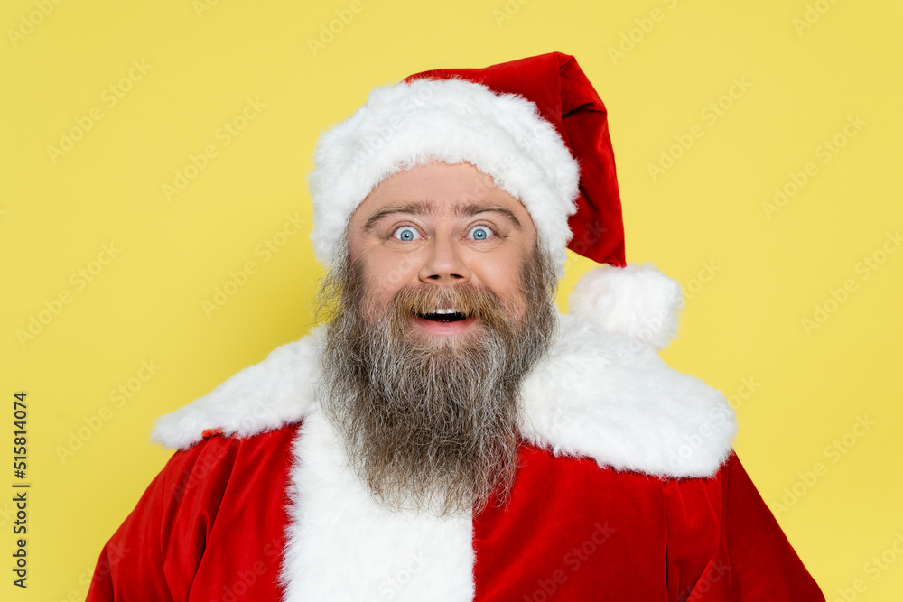 excited and chubby santa claus with bulging eyes looking at camera isolated on yellow. excited and chubby santa claus with bulging eyes looking at camera isolated on yellow.