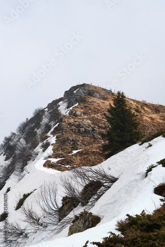 snow covered mountain