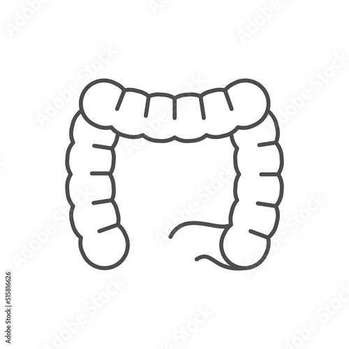 Human intestines line outline icon