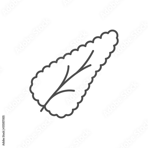 Human pancreas line outline icon