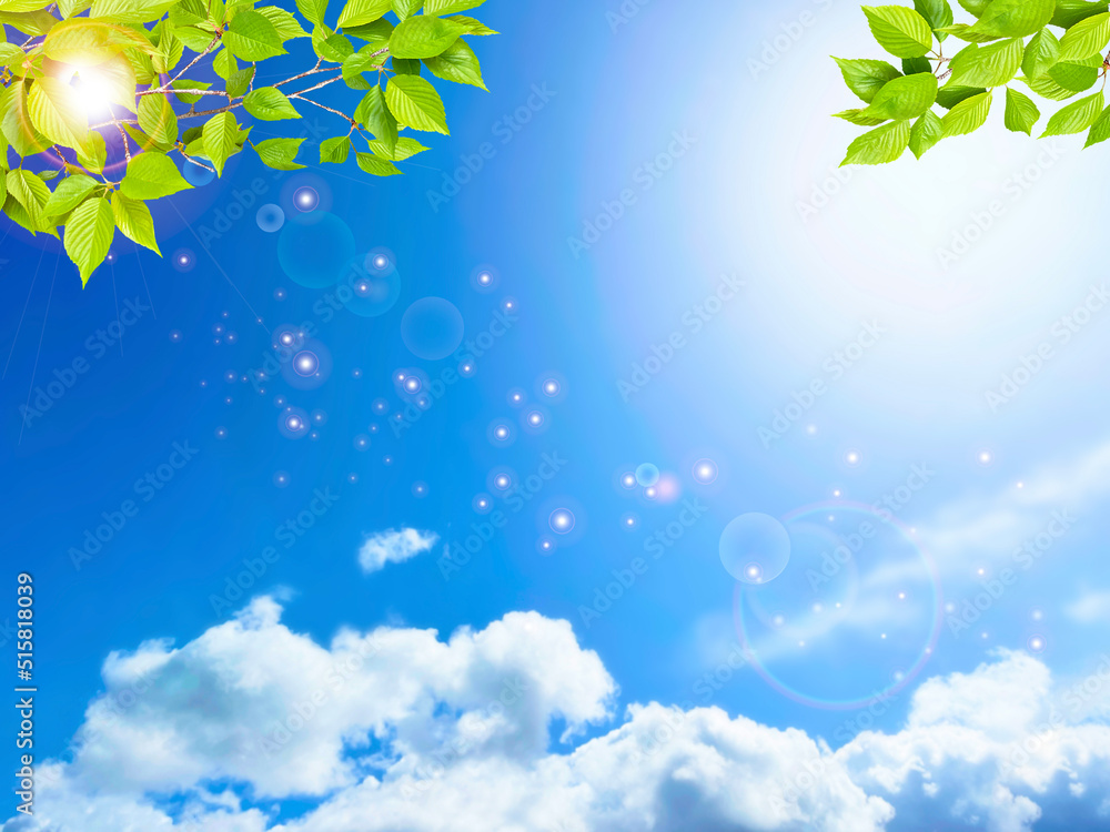 夏の青空と新緑の木洩れ日　背景素材