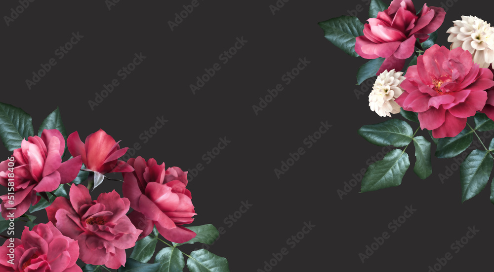 Floral banner, header with copy space. Red roses isolated on dark grey background. Natural flowers wallpaper or greeting card. Floral banner, header with copy space. Red roses isolated on dark grey background. Natural flowers wallpaper or greeting card.