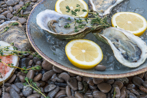 Fresh oysters in lemon and ice shells