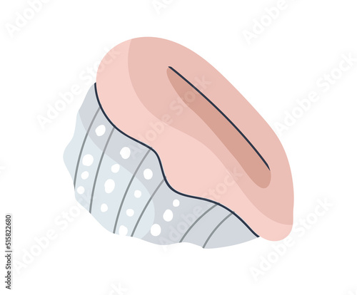 Sea shell from a mollusk. Isolated on white background.Flat vector illustration. Eps10