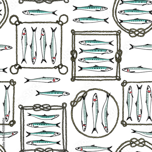 Vector seamless pattern with hand drawn sardines in rope frames. Advertising, menu or packaging cool design elements, perfect for prints and patterns