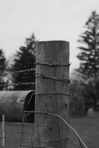 Barbed wire fence in black and white.