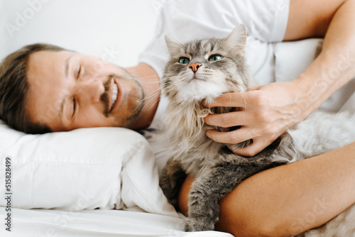Fototapeta Naklejka Na Ścianę i Meble -  Smiling man petting gray cute cat lying together in bed. Fluffy pet enjoying rest in bedroom, close-up. Selective focus on animal's pink nose
