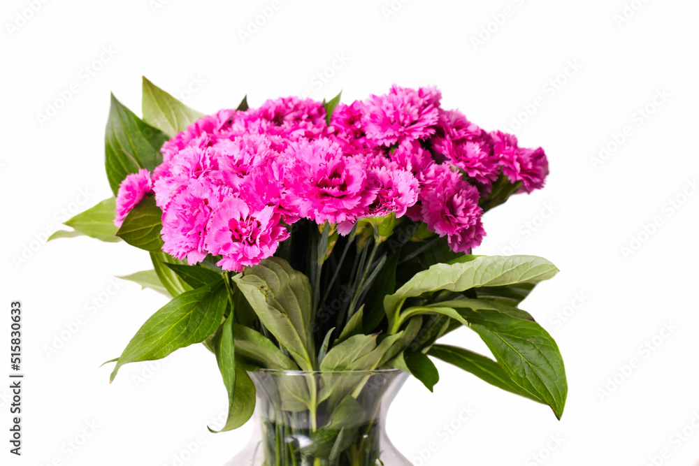Fototapeta premium Bouquet of pink carnations in glass vase