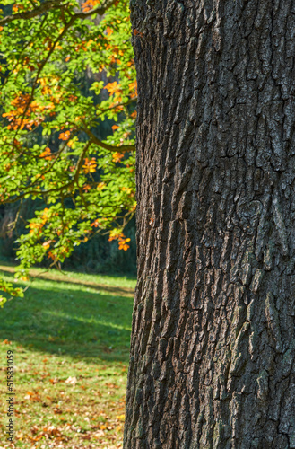 In the park of Velke Brezhno castle, Czech Republic