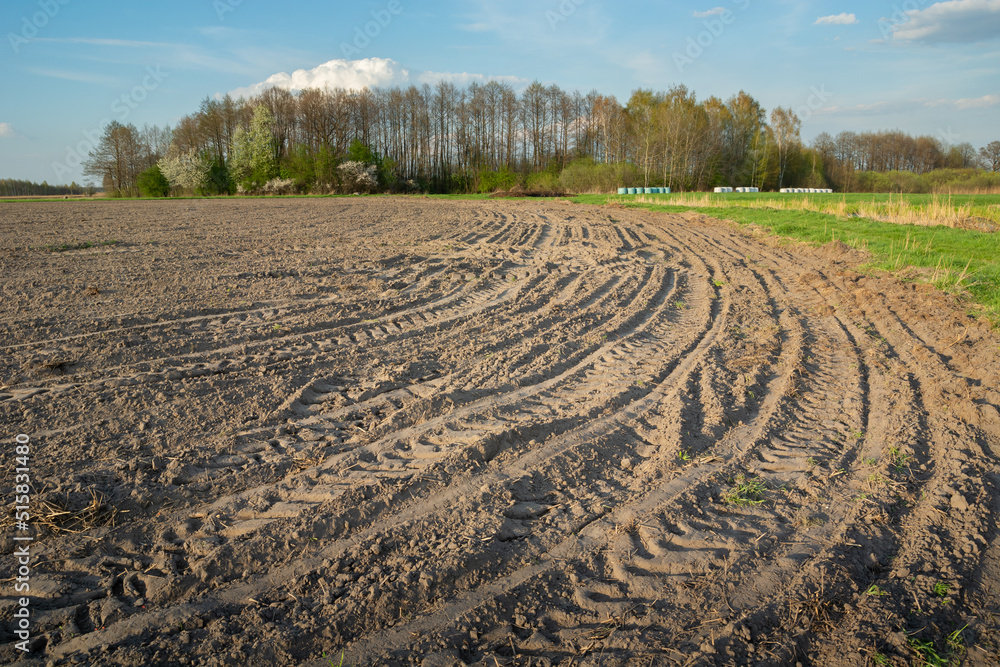 Tractor wheel tracks in a plowed field