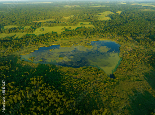 Lake in shape of a heart in forest. Freshwater Lakes. Water supply problems and water deficit  ecology and environmental. Morass and wetlands  aerial view. Mire Conservation. Bog  fen  mire landscape.