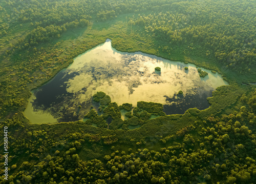 Lake in shape of a heart in forest. Freshwater Lakes. Water supply problems and water deficit, ecology and environmental. Morass and wetlands, aerial view. Mire Conservation. Bog, fen, mire landscape.