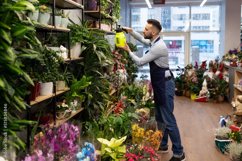 flower shop owner takes care of the plants on the shelves flower shop owner takes care of the plants on the shelves