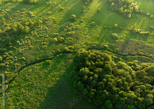 Zigzag River in wild. Water supply. Small river in field and forest in swamp, Aerial view. Wildlife Refuge Wetland Restoration. Green Nature Scenery. River in Wildlife. Freshwater Lakes and Ecosystem. © MaxSafaniuk