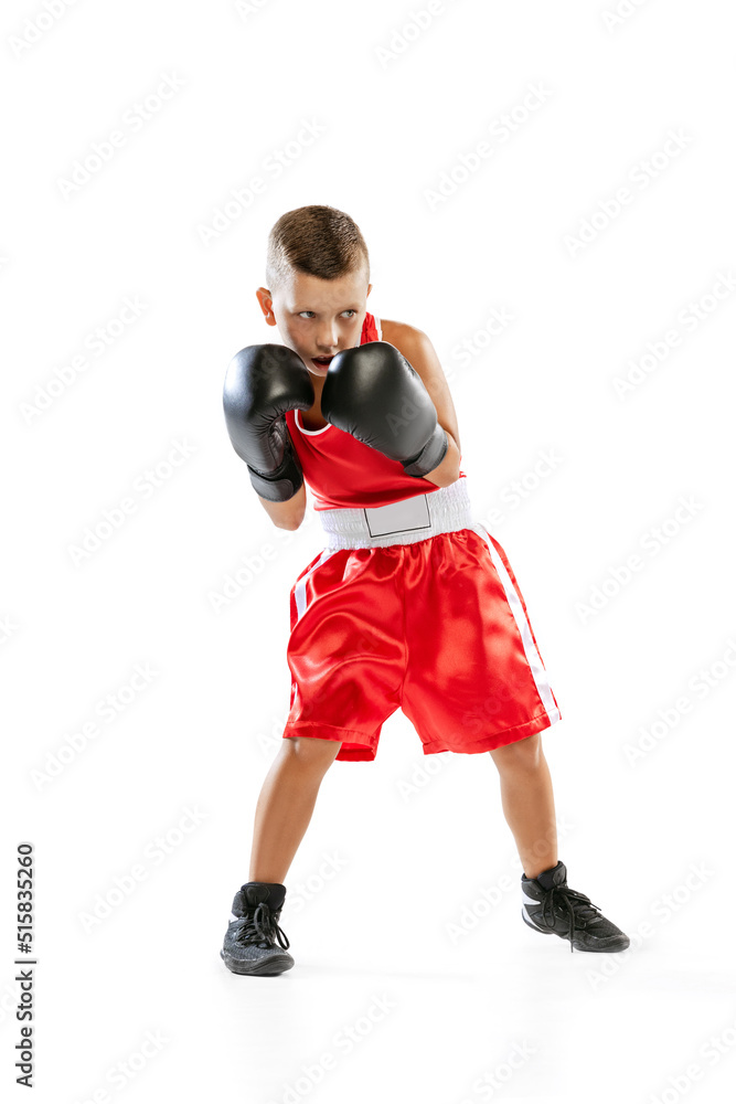 Portrait of active boy, beginner boxer in sports gloves and red uniform isolated on white background. Concept of sport, movement, studying, achievements, lifestyle. Portrait of active boy, beginner boxer in sports gloves and red uniform isolated on white background. Concept of sport, movement, studying, achievements, lifestyle.