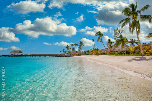 Beautiful palm trees over white sand beach at ocean shore  view on row of water bungalows and pier. Luxury summer travel tourism  relaxing nature background. Beach landscape  Maldives vacation