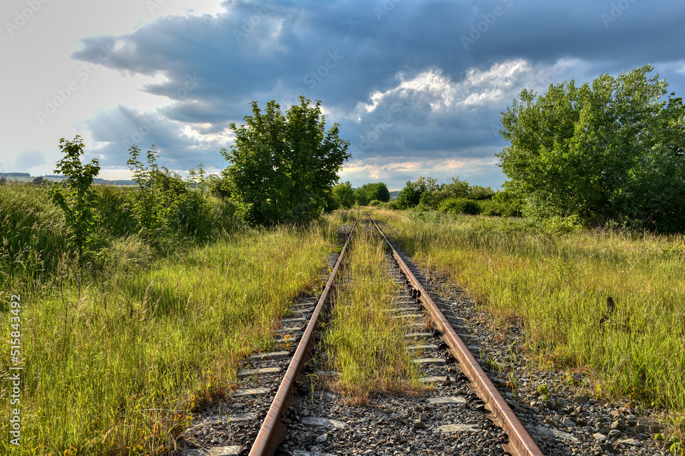 Pulkau, Schienen, Gleis, Bahndamm, Bahnlinie, Bahnhof, Eisenbahn, aufgelassen, stillgelegt, eingestellt, Niederösterreich, Waldviertel, Schwelle, Holzschwelle, Eisen, morsch, verwachsen, Gras, zugewac