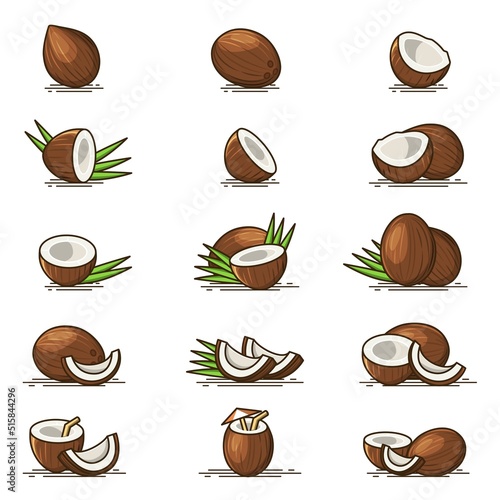 Collections of Brown Coconut vector icon illustration isolated on white background