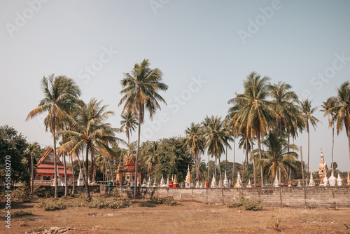 Don Det, Laos - January 18th, 2020 : view palm trees and buddhist stupas in the south of Laos on a sunny day with grass in the foreground © LeaGuPhoto