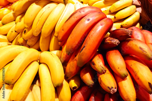 The standard yellow and the more exotic red bananas in bunches on a farmers market stall on Tenerife, Canary Islands, Spain. photo