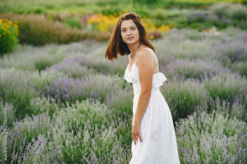Young woman collects lavender in a basket Young woman collects lavender in a basket