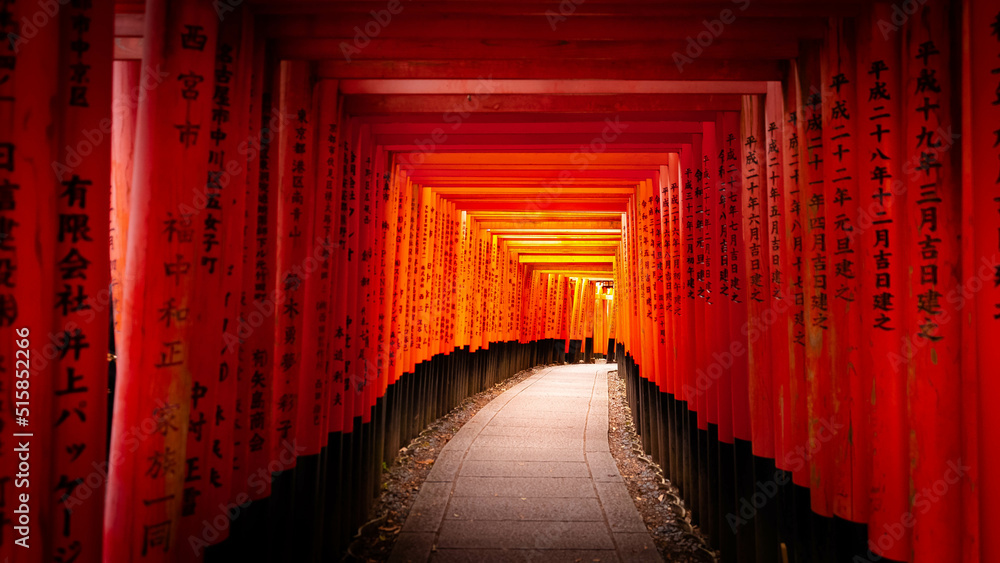 Fototapeta premium 伏見稲荷大社
