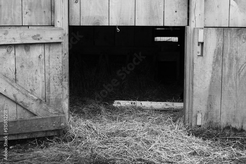 old wooden door in black and white