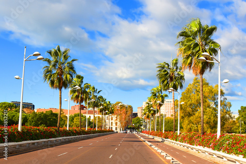 Road in city with of palm trees and residential buildings with apartments at sea. Empty road, no cars in city. Central street with gardens and flowers near city park near the Turia River, Valencia. © MaxSafaniuk