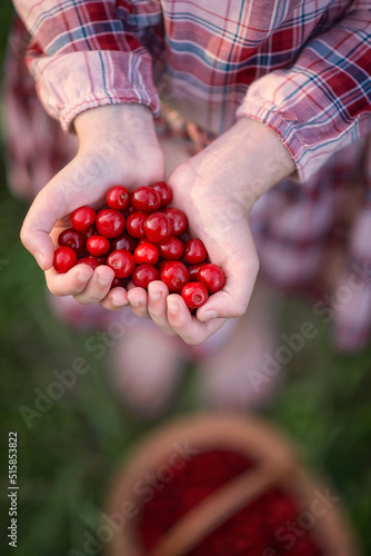 A photo of a ripe cherry in the hands of a girl.