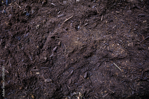 Soil texture background, top view. Dirt, earth, ground. Agriculture and garden work template