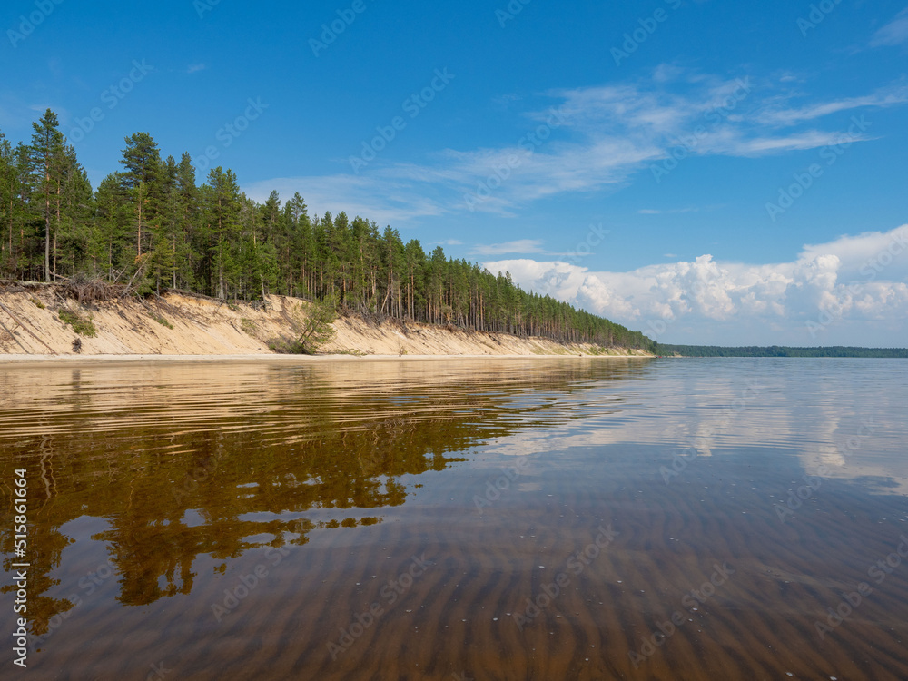 Forest on the sandy shore with the sandy beach of the Onega Lake in a calm weather summer on a sunny day. Karelia, Northwest Russia