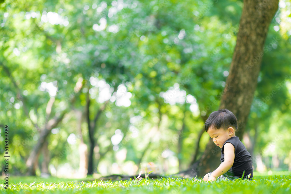Toddler asian 2 year boy playing on green grass in nature park Toddler asian 2 year boy playing on green grass in nature park