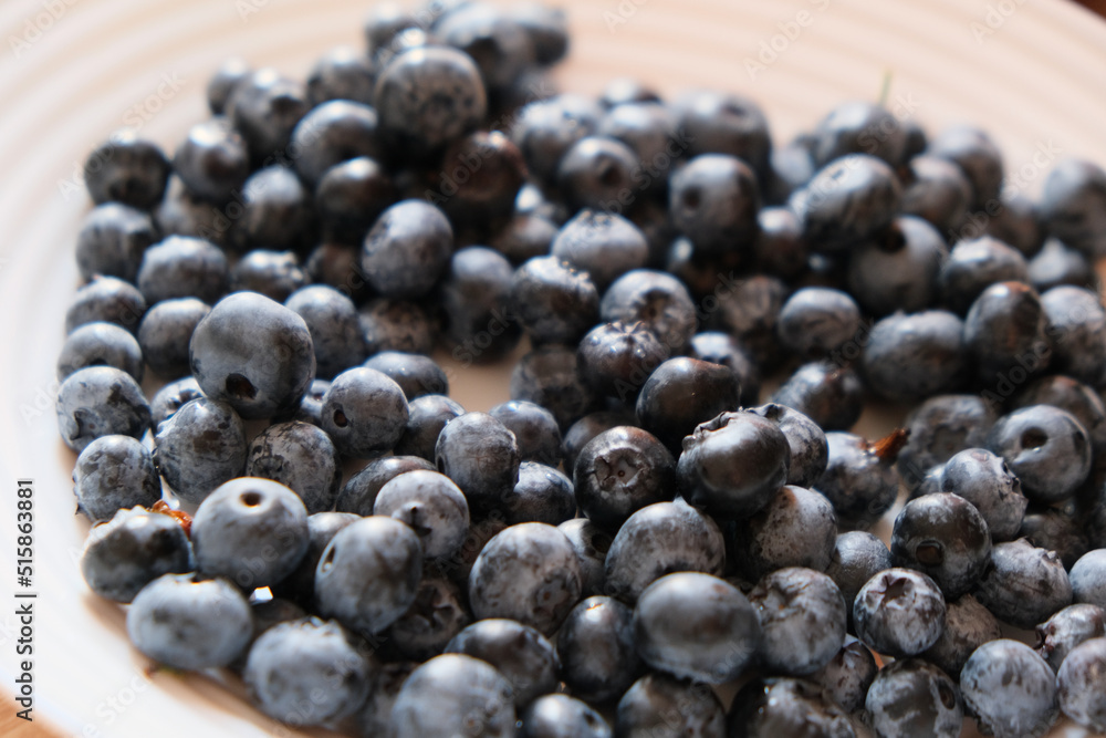 Fresh blueberries on a plate. Only plucked blueberries, close up view Fresh blueberries on a plate. Only plucked blueberries, close up view