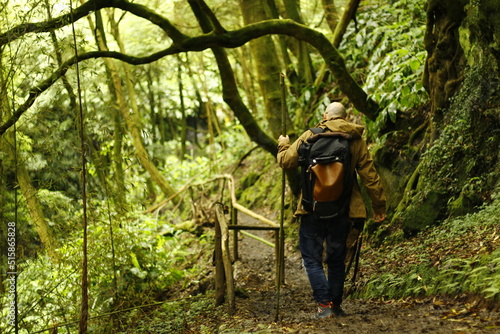 Hiker man walking in Ribeira dos Caldeirões National Park, Sao Miguel, Azores, Portugal