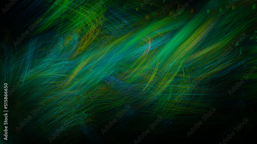 Colorful light trails with motion blur effect. defocused
Colorful light trails with motion blur effect. defocused